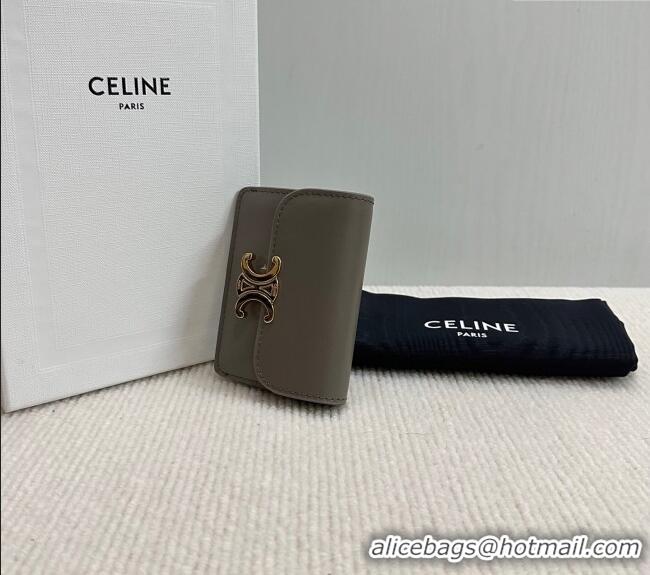 Good Looking Celine Triomphe Card Case Wallet 10L583 Grey 2025