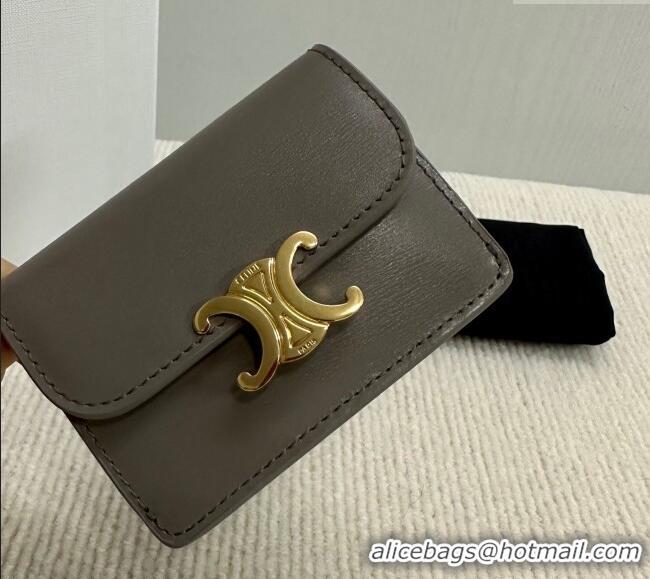 Good Looking Celine Triomphe Card Case Wallet 10L583 Grey 2025