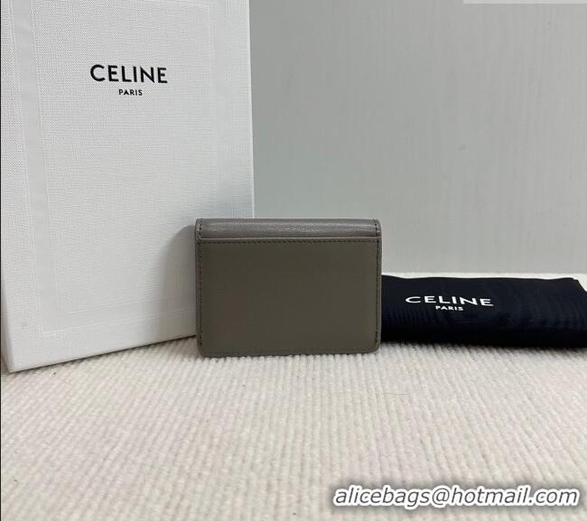 Good Looking Celine Triomphe Card Case Wallet 10L583 Grey 2025