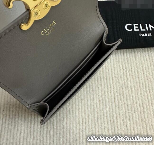 Good Looking Celine Triomphe Card Case Wallet 10L583 Grey 2025