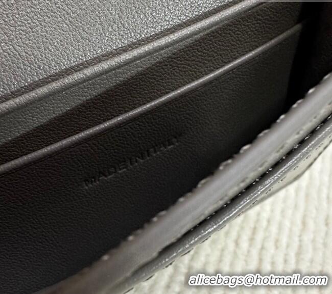 Good Looking Celine Triomphe Card Case Wallet 10L583 Grey 2025