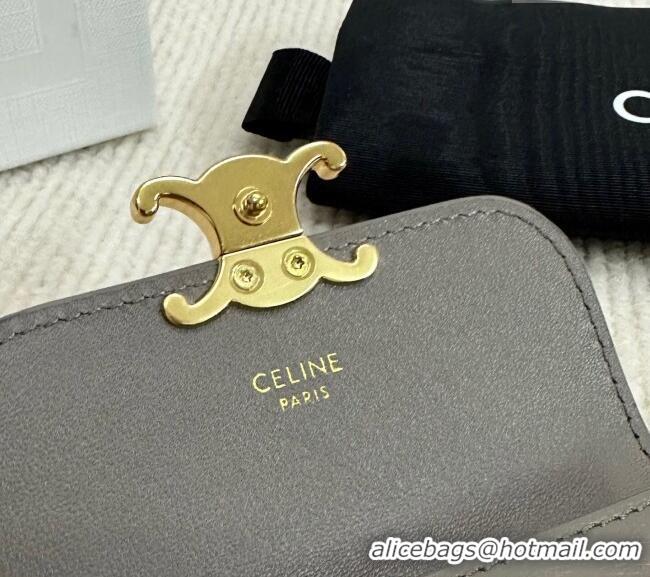 Good Looking Celine Triomphe Card Case Wallet 10L583 Grey 2025