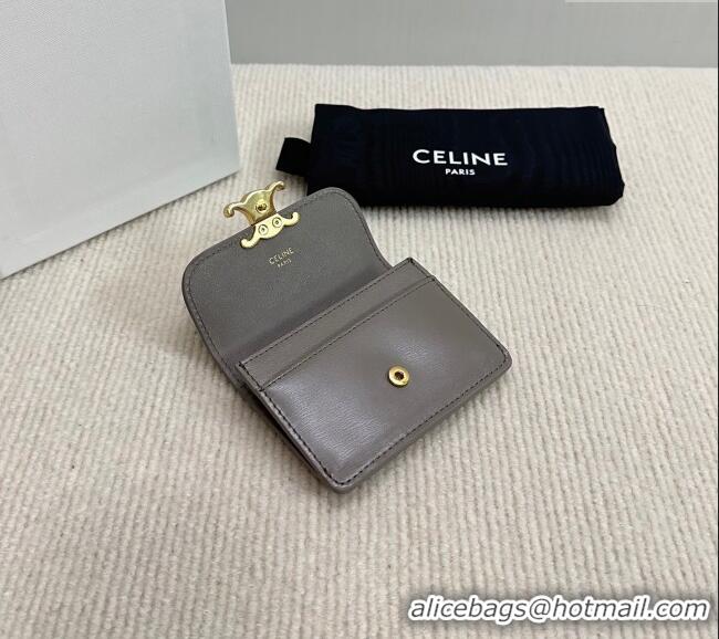 Good Looking Celine Triomphe Card Case Wallet 10L583 Grey 2025