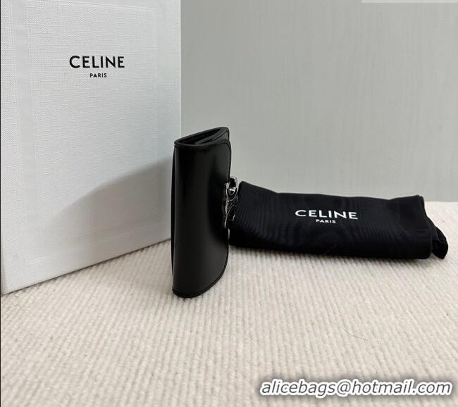 Best Grade Celine Triomphe Card Case Wallet 10L583 Black/Silver 2025