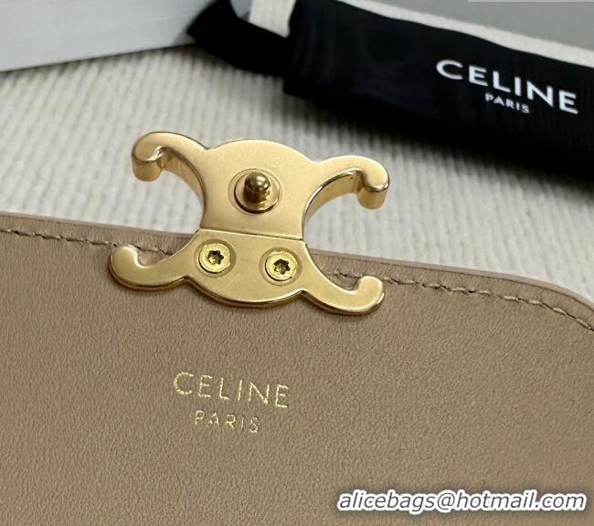 Modern Classic Celine Triomphe Card Case Wallet 10L583 Beige 2025