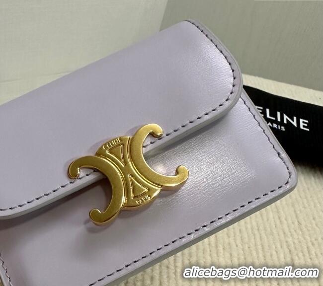 Modern Classic Celine Triomphe Card Case Wallet 10L583 Purple 2025