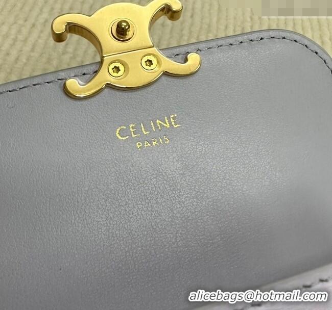 Modern Classic Celine Triomphe Card Case Wallet 10L583 Purple 2025