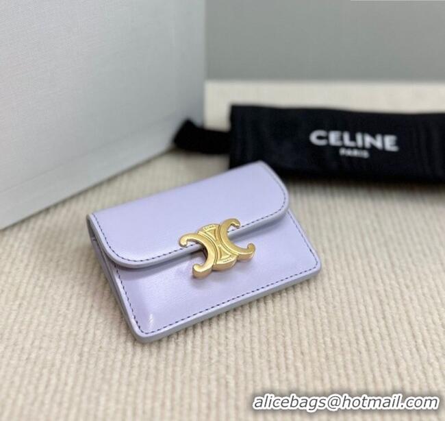 Modern Classic Celine Triomphe Card Case Wallet 10L583 Purple 2025