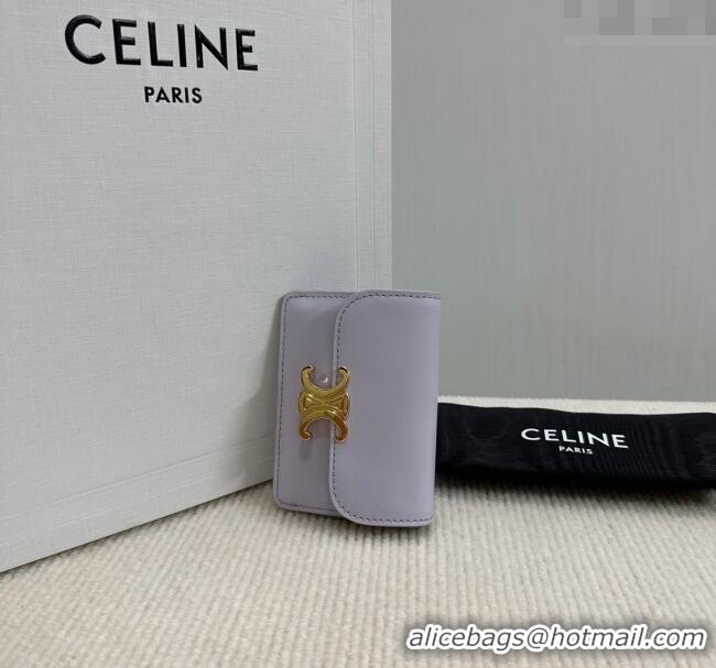 Modern Classic Celine Triomphe Card Case Wallet 10L583 Purple 2025