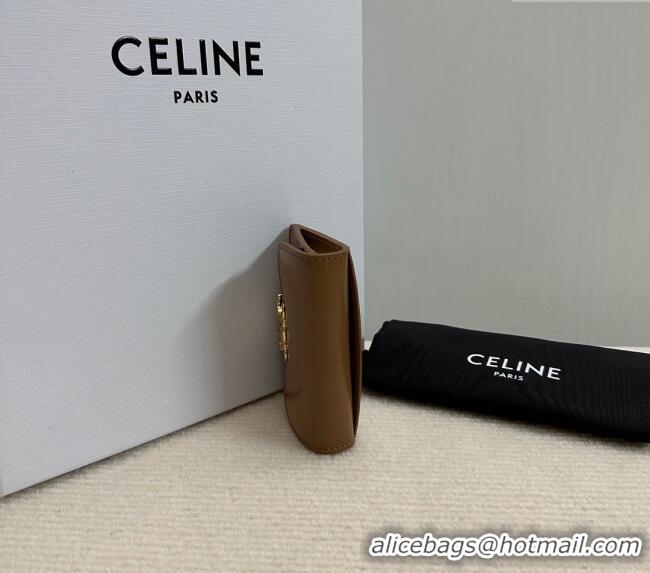 Unique Discount Celine Triomphe Card Case Wallet 10L583 Brown 2025