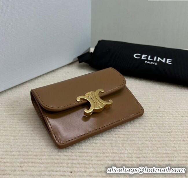Unique Discount Celine Triomphe Card Case Wallet 10L583 Brown 2025