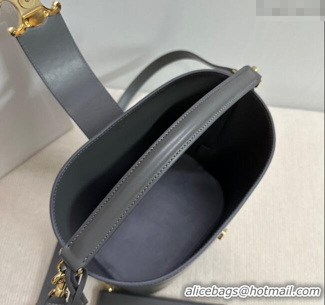 Spot Bulk Celine Medium Louise Bucket bag in Smooth Calfskin 116613 Grey 2025