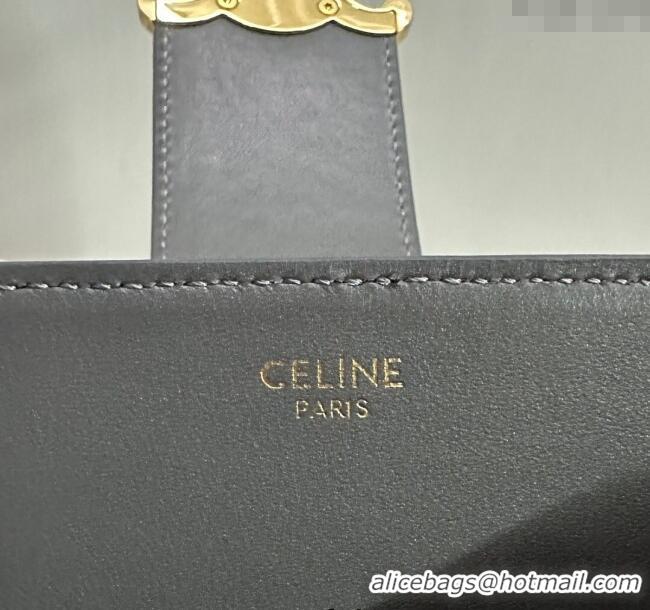 Spot Bulk Celine Medium Louise Bucket bag in Smooth Calfskin 116613 Grey 2025