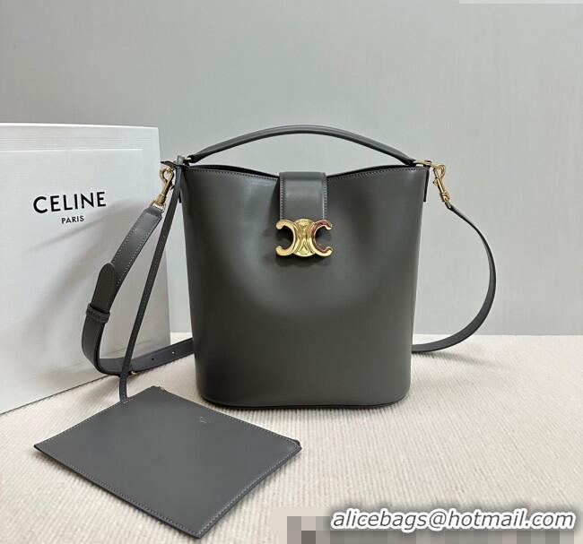 Spot Bulk Celine Medium Louise Bucket bag in Smooth Calfskin 116613 Grey 2025