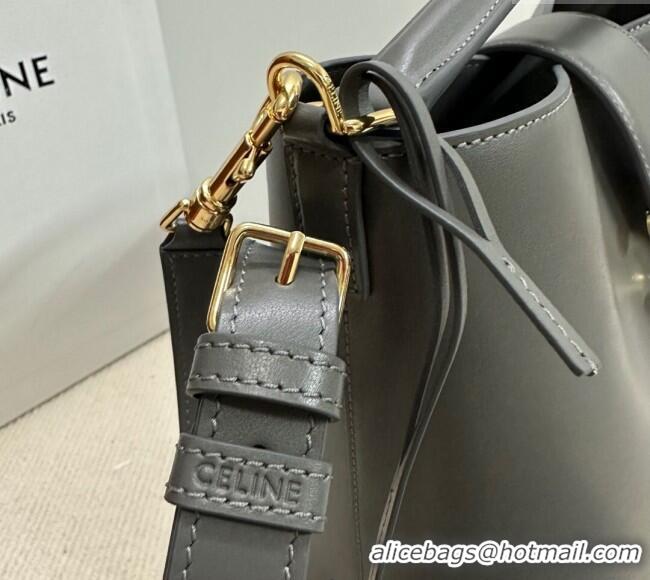 Spot Bulk Celine Medium Louise Bucket bag in Smooth Calfskin 116613 Grey 2025