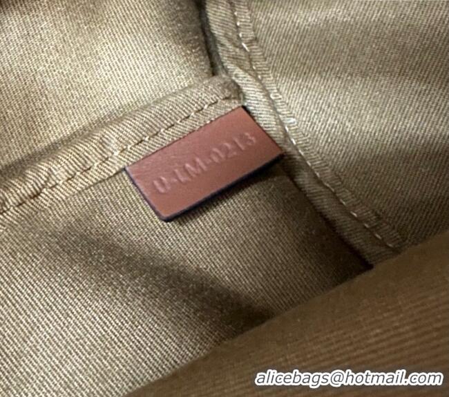 New Cheap Celine Teen Clara Bucket Bag in Triomphe Canvas and Calfskin 121672 Brown 2025