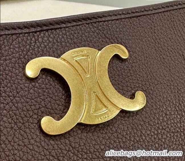 Original Cheap Celine Newspaper Chain Bag in Grained Calfskin 114253 Chestnut Brown 2025