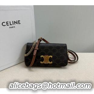 Modern Classic Celine Multipochette Mini Bag in Triomphe Canvas and Calfskin 10L972 Brown 2025
