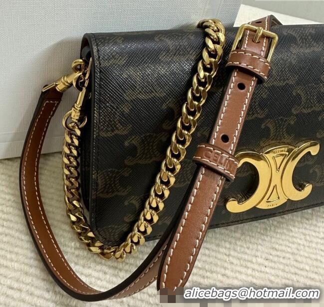 Modern Classic Celine Multipochette Mini Bag in Triomphe Canvas and Calfskin 10L972 Brown 2025