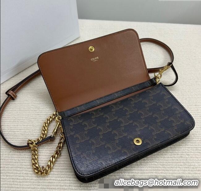 Modern Classic Celine Multipochette Mini Bag in Triomphe Canvas and Calfskin 10L972 Brown 2025