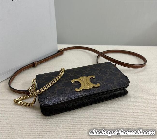 Modern Classic Celine Multipochette Mini Bag in Triomphe Canvas and Calfskin 10L972 Brown 2025