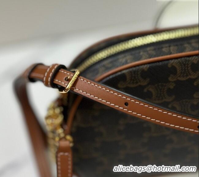 Grade Wholesale Celine Camera Bag in Triomphe Canvas and Calfskin 114122 Brown 2025