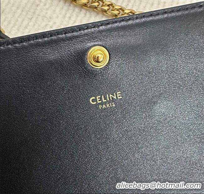 Classic Cheap Celine Multipochette Mini Bag in Shiny Calfskin 10L973 Black 2025