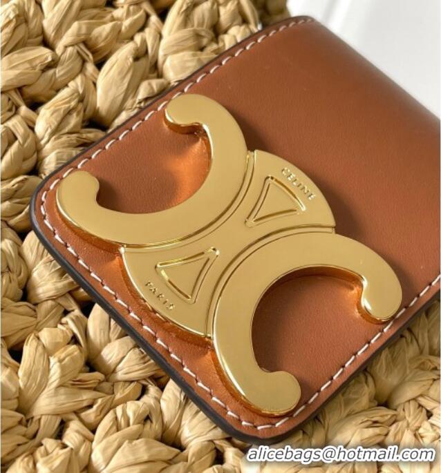 Good Quality Celine Classic Panier Cabas Triangle bag in Raffia Straw and Calfskin 119772 Beige 2025