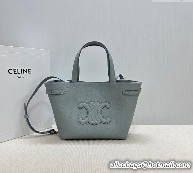 Best Price Celine Mini Cabas Anais Cuir Triomphe Tote Bag in Grained Calfskin 118613 Glacier Blue 2025