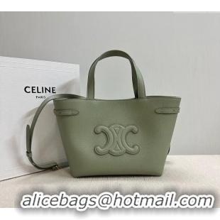 New Cheap Celine Mini Cabas Anais Cuir Triomphe Tote Bag in Grained Calfskin 118613 Light Clay Green 2025