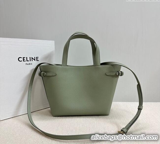 New Cheap Celine Mini Cabas Anais Cuir Triomphe Tote Bag in Grained Calfskin 118613 Light Clay Green 2025