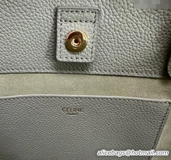 New Cheap Celine Mini Cabas Anais Cuir Triomphe Tote Bag in Grained Calfskin 118613 Light Clay Green 2025