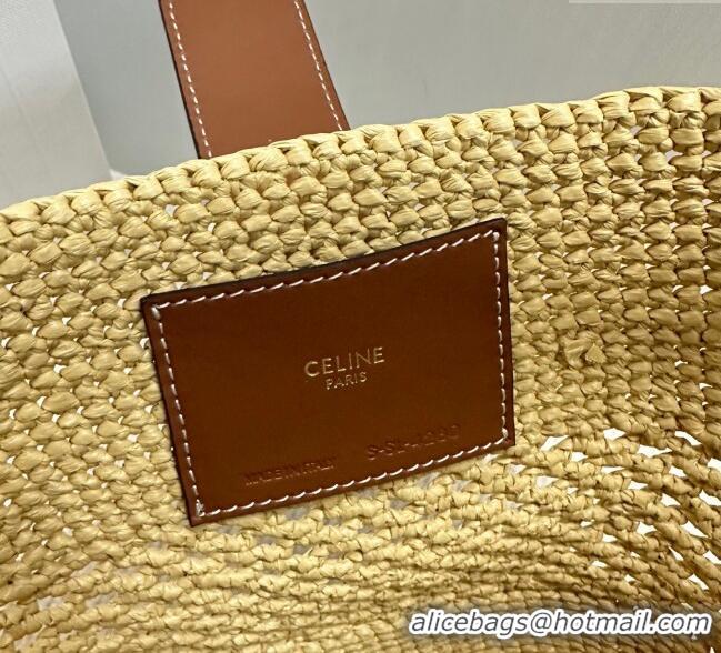 Latest Style Celine Small Louise Bucket bag in Raffia Straw and Calfskin 119742 Beige 2025