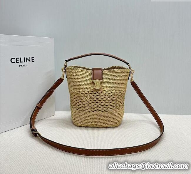 Latest Style Celine Small Louise Bucket bag in Raffia Straw and Calfskin 119742 Beige 2025