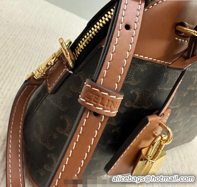 Market Sells Celine Top Handle Bag in Triomphe Canvas and Calfskin 121082 2025