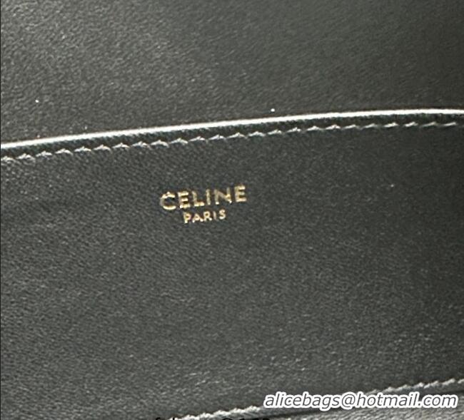 Buy Grade Celine Shoulder Camille16 Soft Bag in Smooth Calfskin 122073 Black 2025