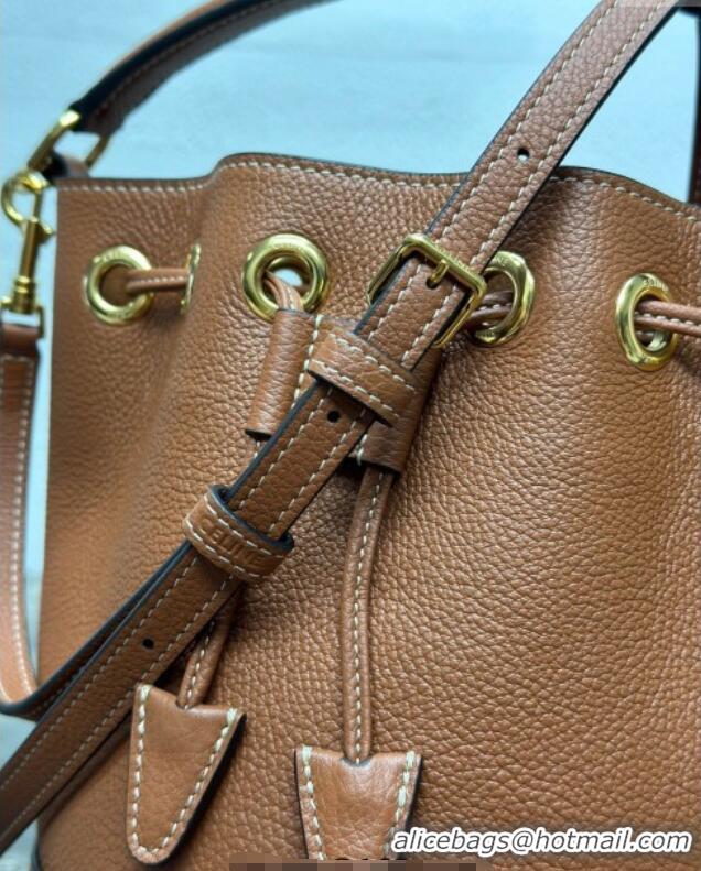 Spot Bulk Celine Teen Clara Bucket Bag in Supple Grained Calfskin 121673 Brown 2025