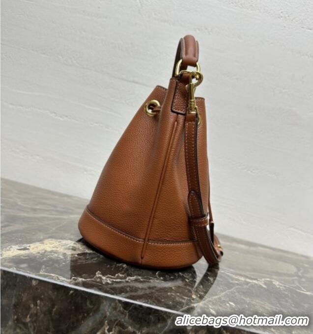 Spot Bulk Celine Teen Clara Bucket Bag in Supple Grained Calfskin 121673 Brown 2025