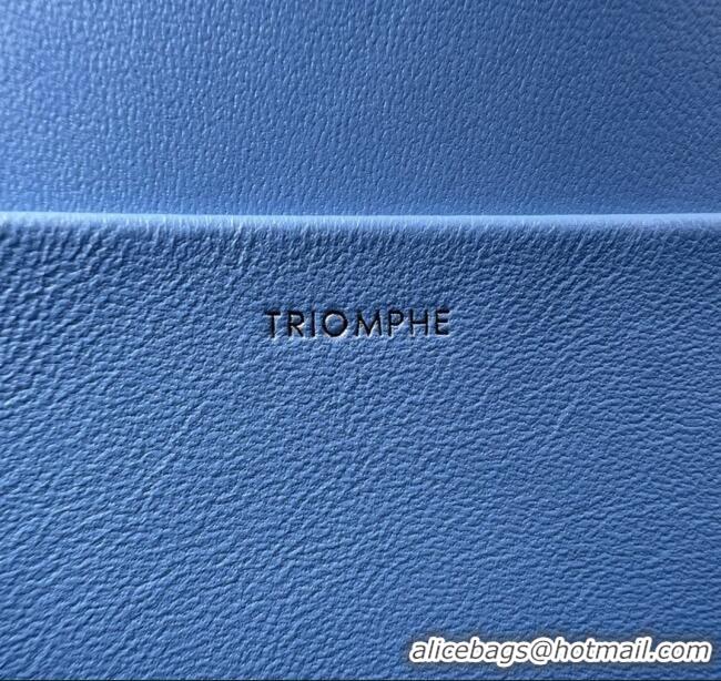 Top Grade Celine Classique Triomphe Bag in Shiny Calfskin 187363 Aqua Blue 2025