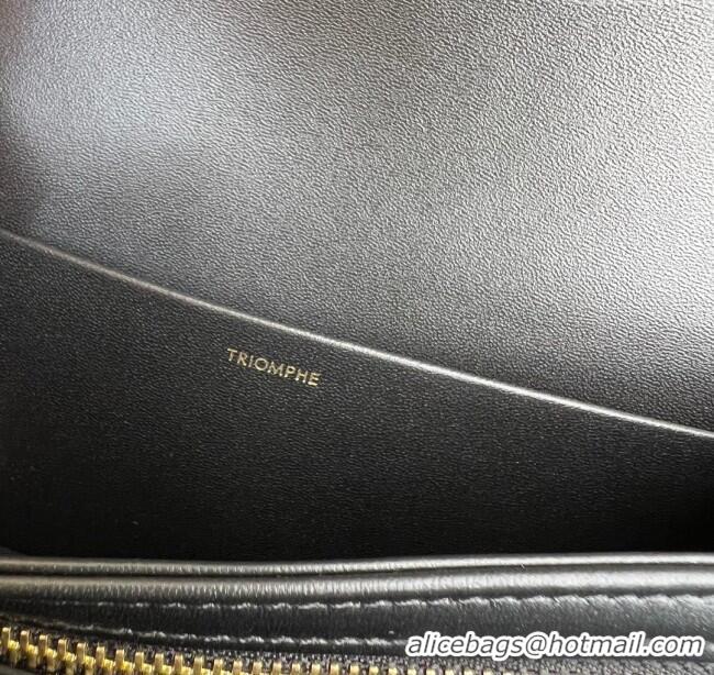 New Cheap Celine Classique Triomphe Bag in Patent Calfskin 187363 Black 2025