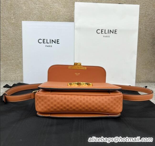 Discount Celine Teen Triomphe Bag in Triomphe Calfskin 188423 Brown 2025