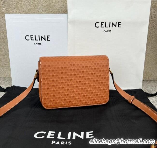 Discount Celine Teen Triomphe Bag in Triomphe Calfskin 188423 Brown 2025