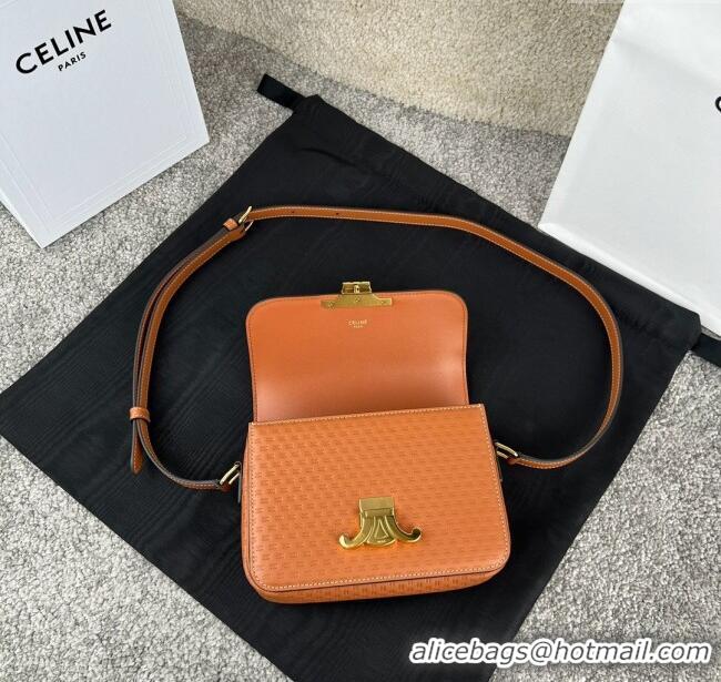 Discount Celine Teen Triomphe Bag in Triomphe Calfskin 188423 Brown 2025