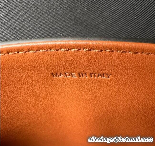 Discount Celine Teen Triomphe Bag in Triomphe Calfskin 188423 Brown 2025