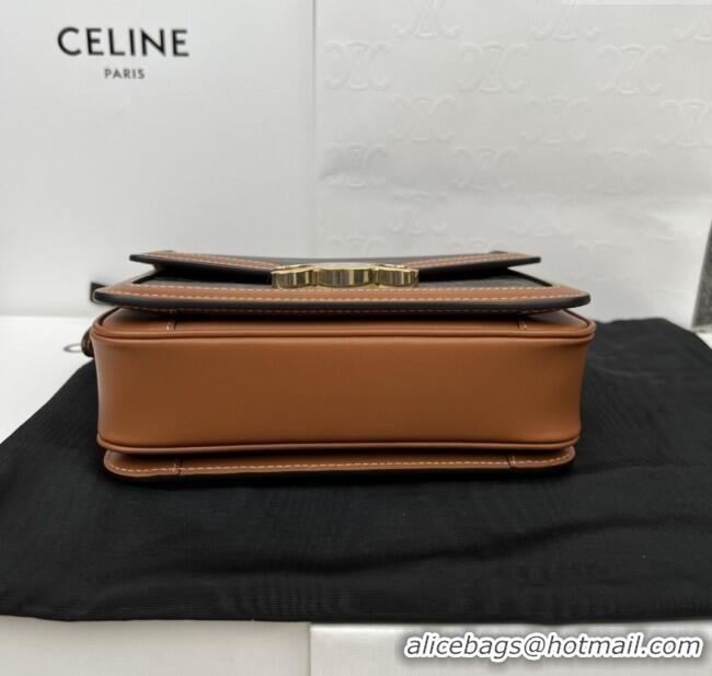 Market Sells Celine Teen Triomphe Bag in Canvas & Calfskin 188423 Brown 2025