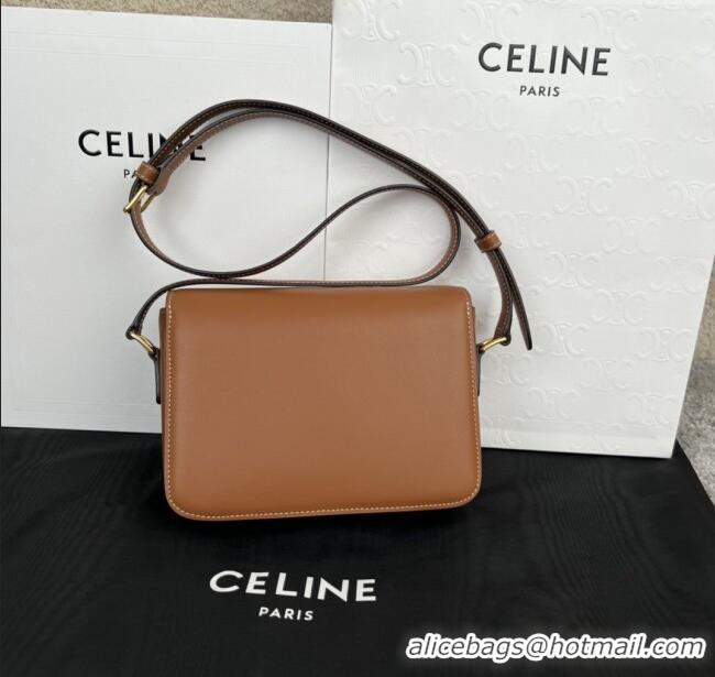 New Fashion Celine Teen Triomphe Bag in Shiny Calfskin 188423 Brown 2025
