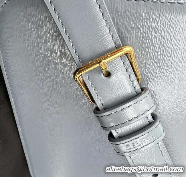 New Classic Celine Classique Triomphe Bag in Shiny Calfskin 187363 Grey-blue 2025