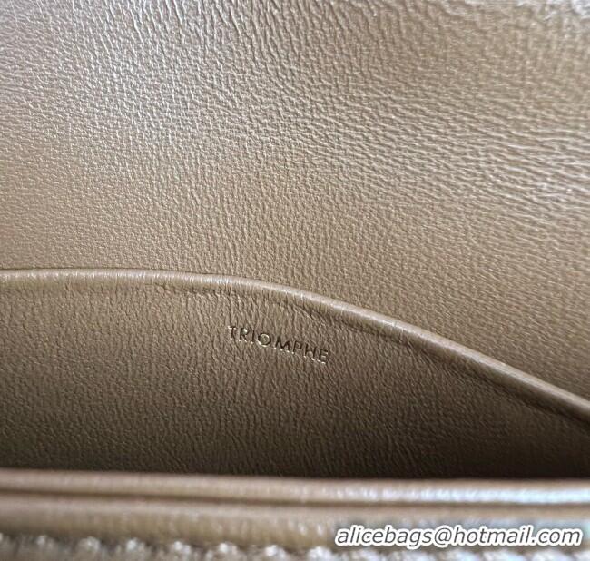 Good Looking Celine Teen Triomphe Bag in Shiny Calfskin 188423 Khaki Brown 2025
