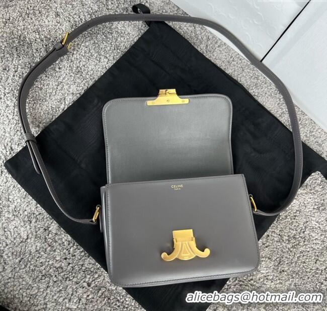 Spot Discount Celine Teen Triomphe Bag in Shiny Calfskin 188423 Lava Grey 2025