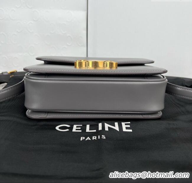 Spot Discount Celine Teen Triomphe Bag in Shiny Calfskin 188423 Lava Grey 2025
